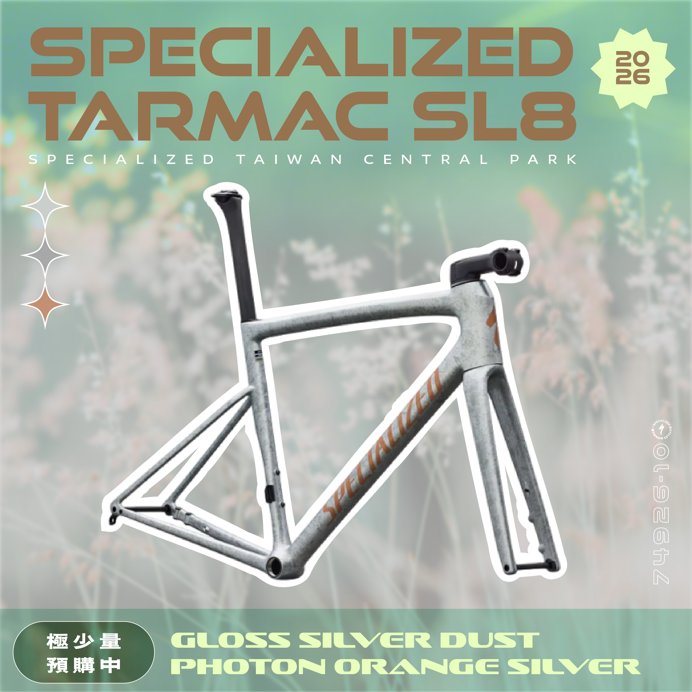 新色【Specialized】Tarmac SL8 車架組 / 刷漆銀箔