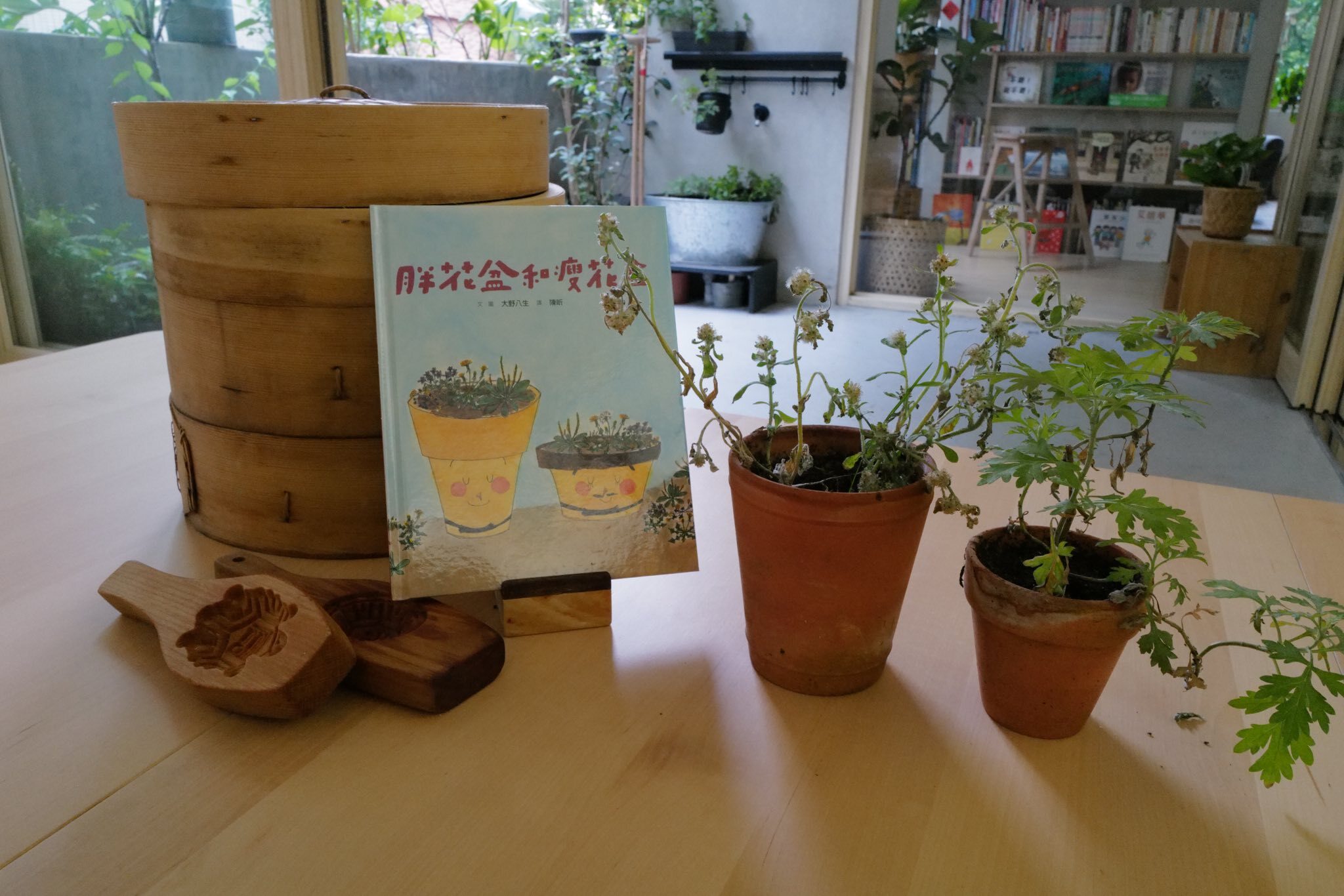 清明《胖花盆和瘦花盆》