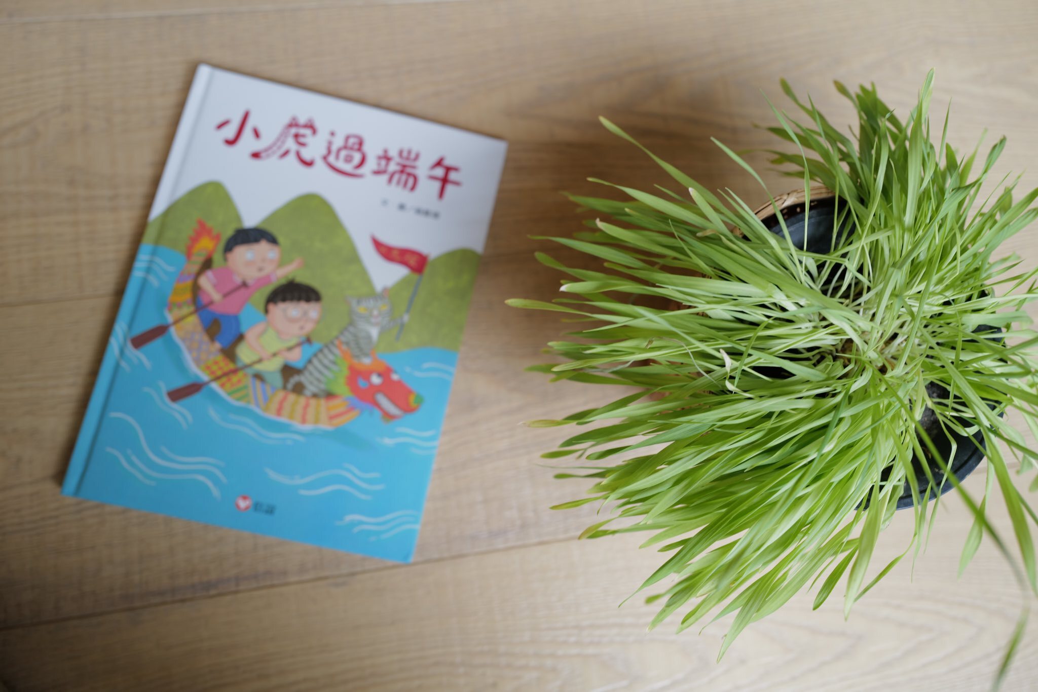 端午《小虎過端午》