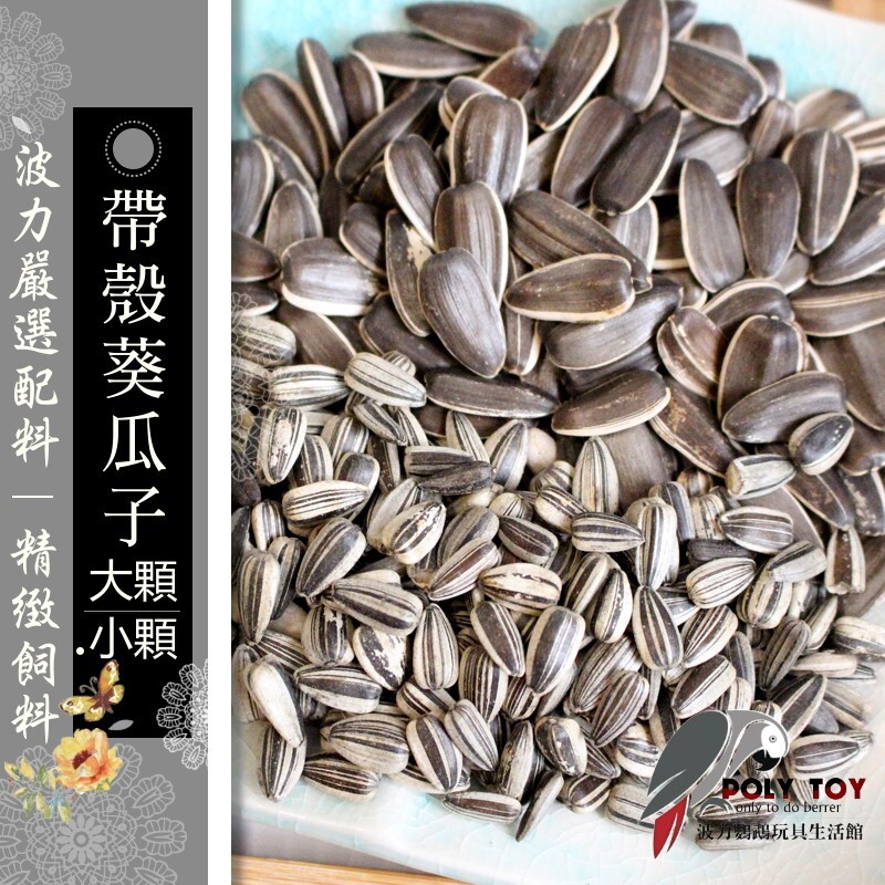 大顆 小顆 帶殼葵瓜子 波力鸚鵡玩具生活館