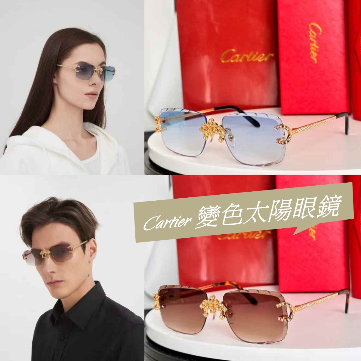 C a r t  e r 變色太陽眼鏡
