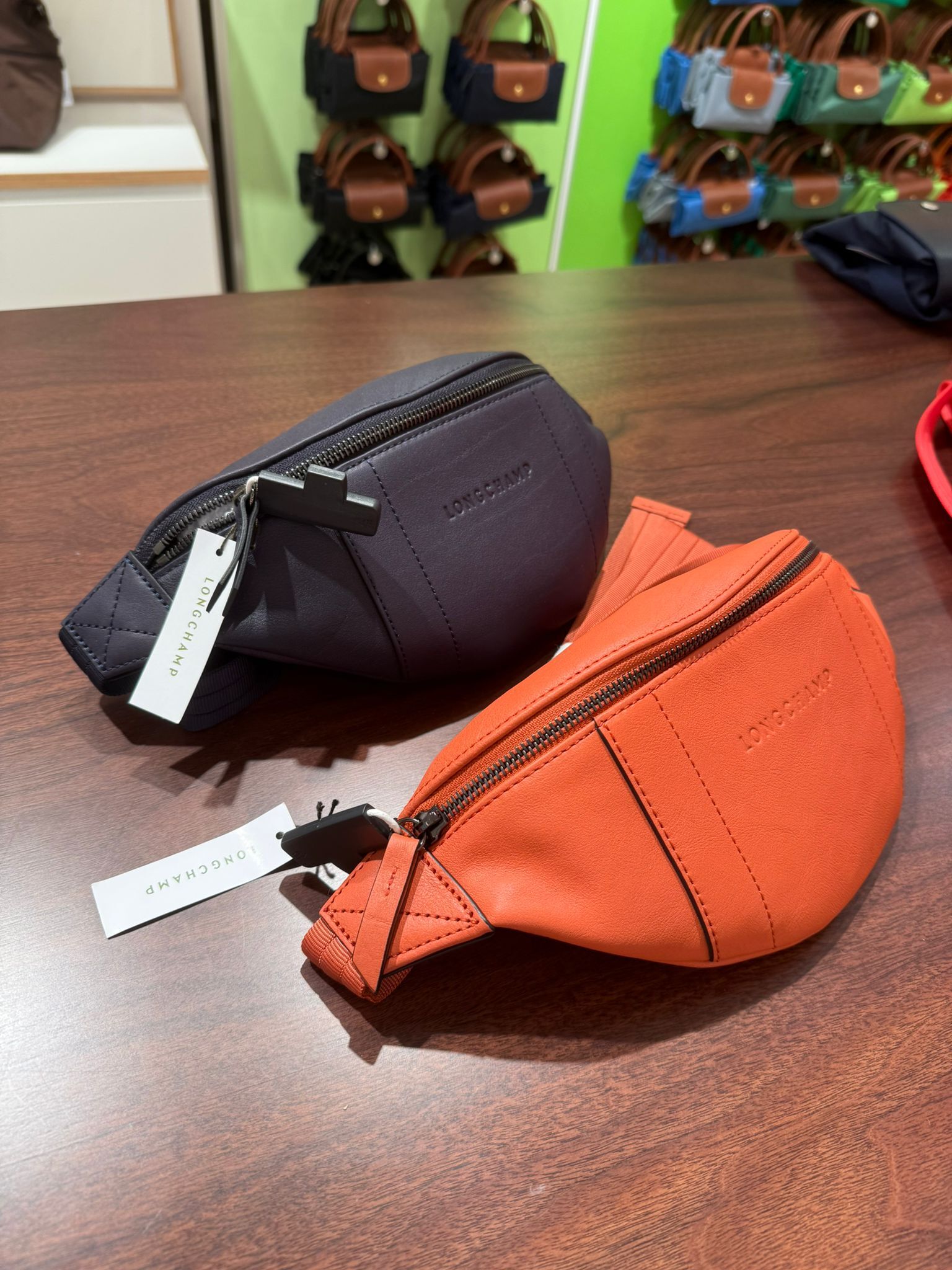 Longchamp Printemps Ete bum bag 2 colors 20054