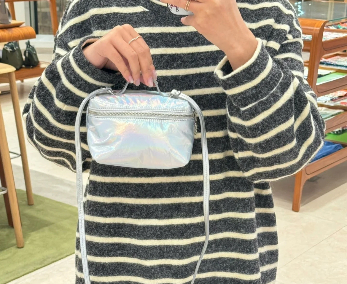 Longchamp vanity case crossbody bag silver 10187