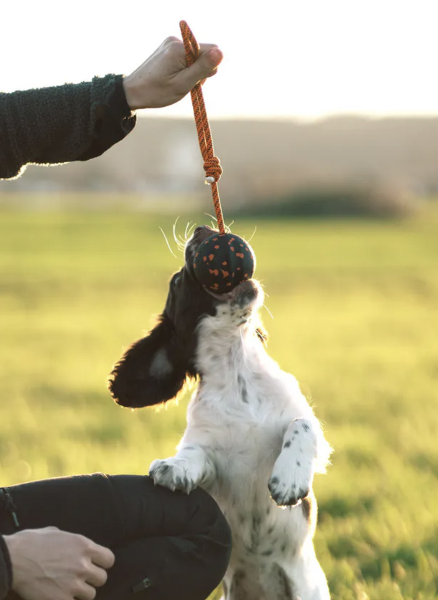 【Non-stop dogwear】繩索咬球