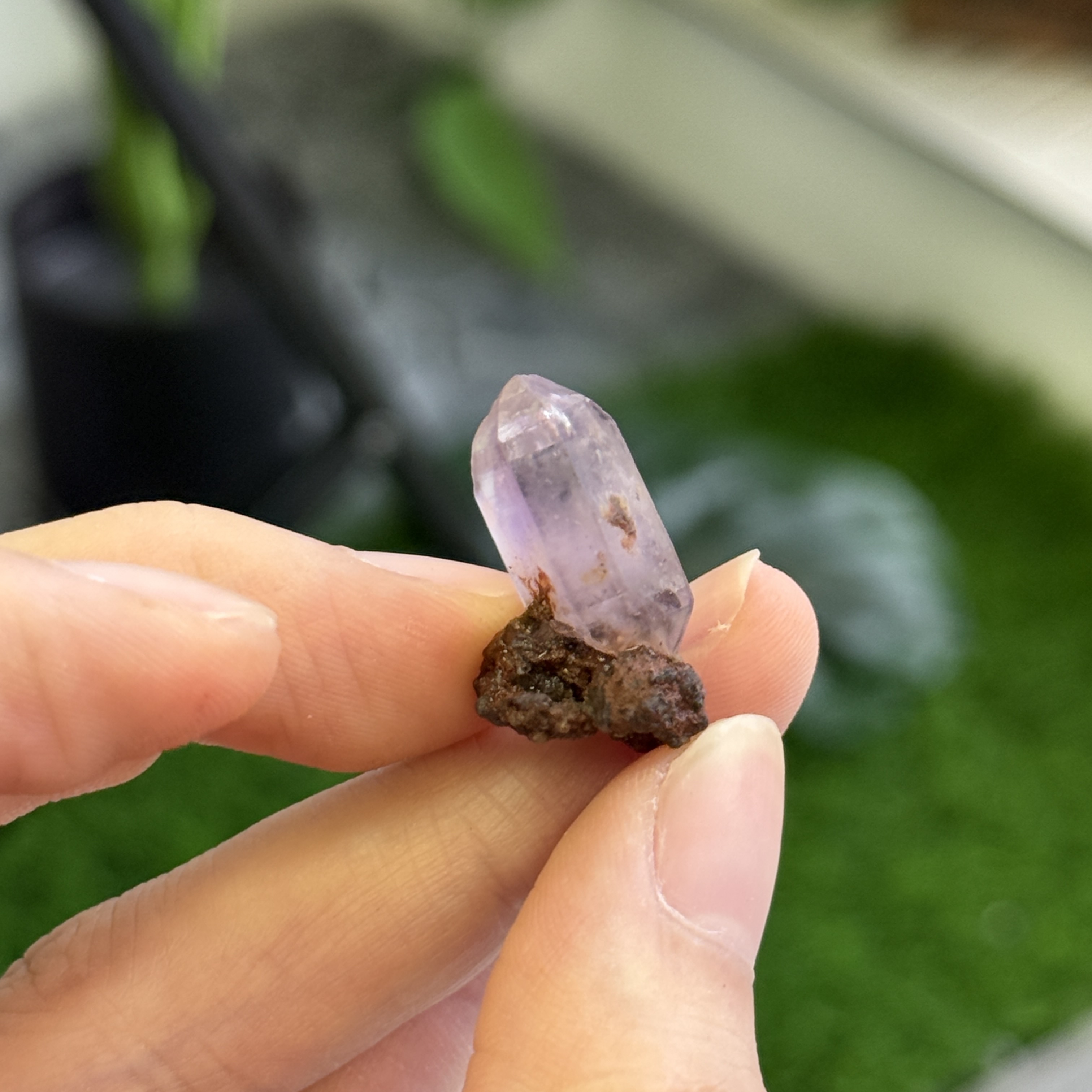 超級七骨幹原石 S71854