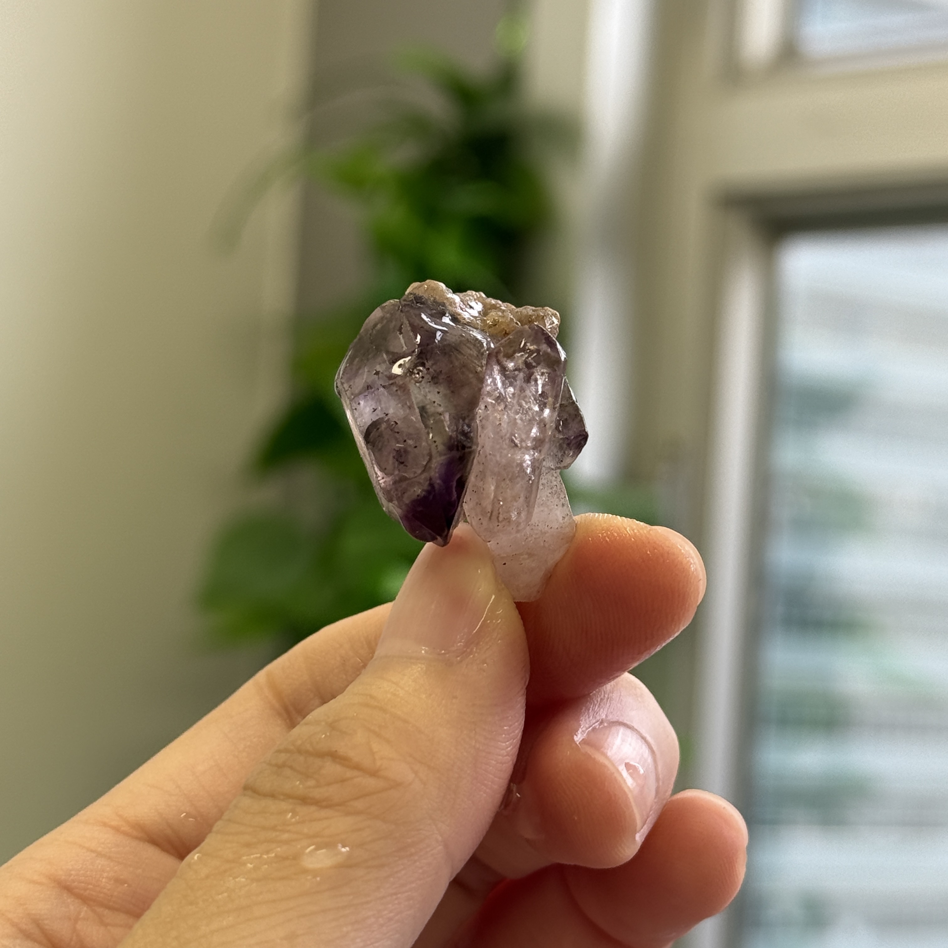 超級七骨幹原石 S71841