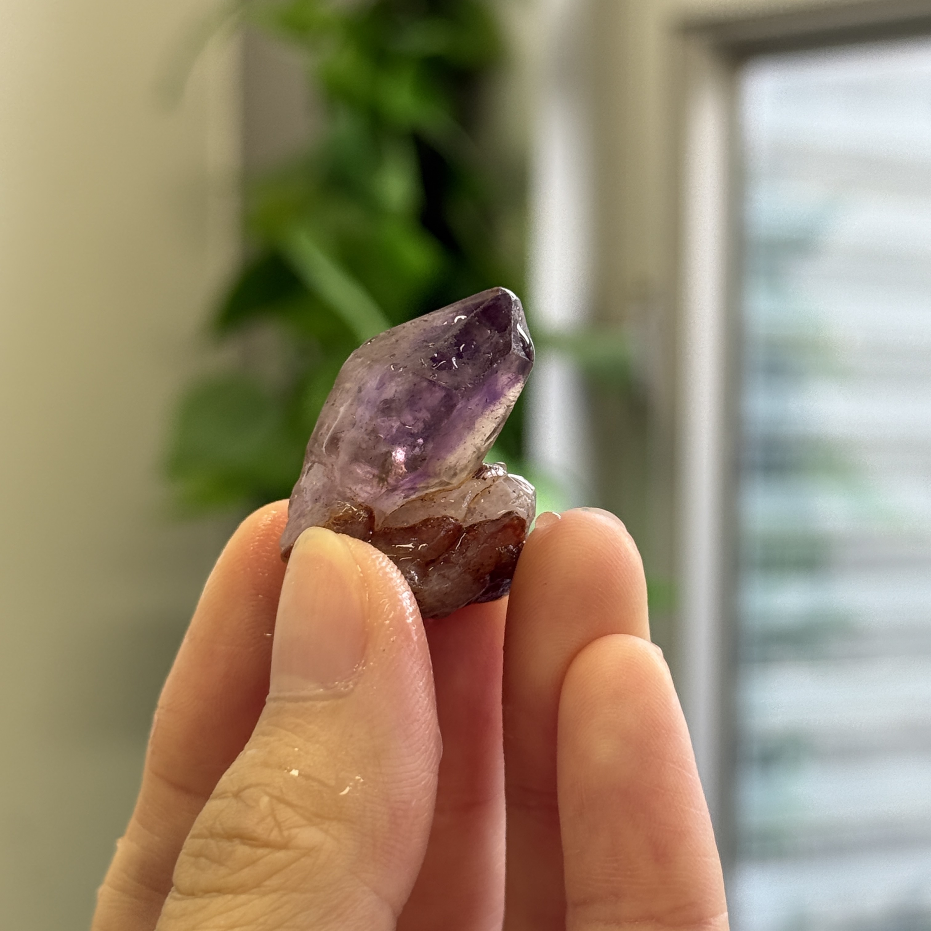 超級七骨幹原石 S71839