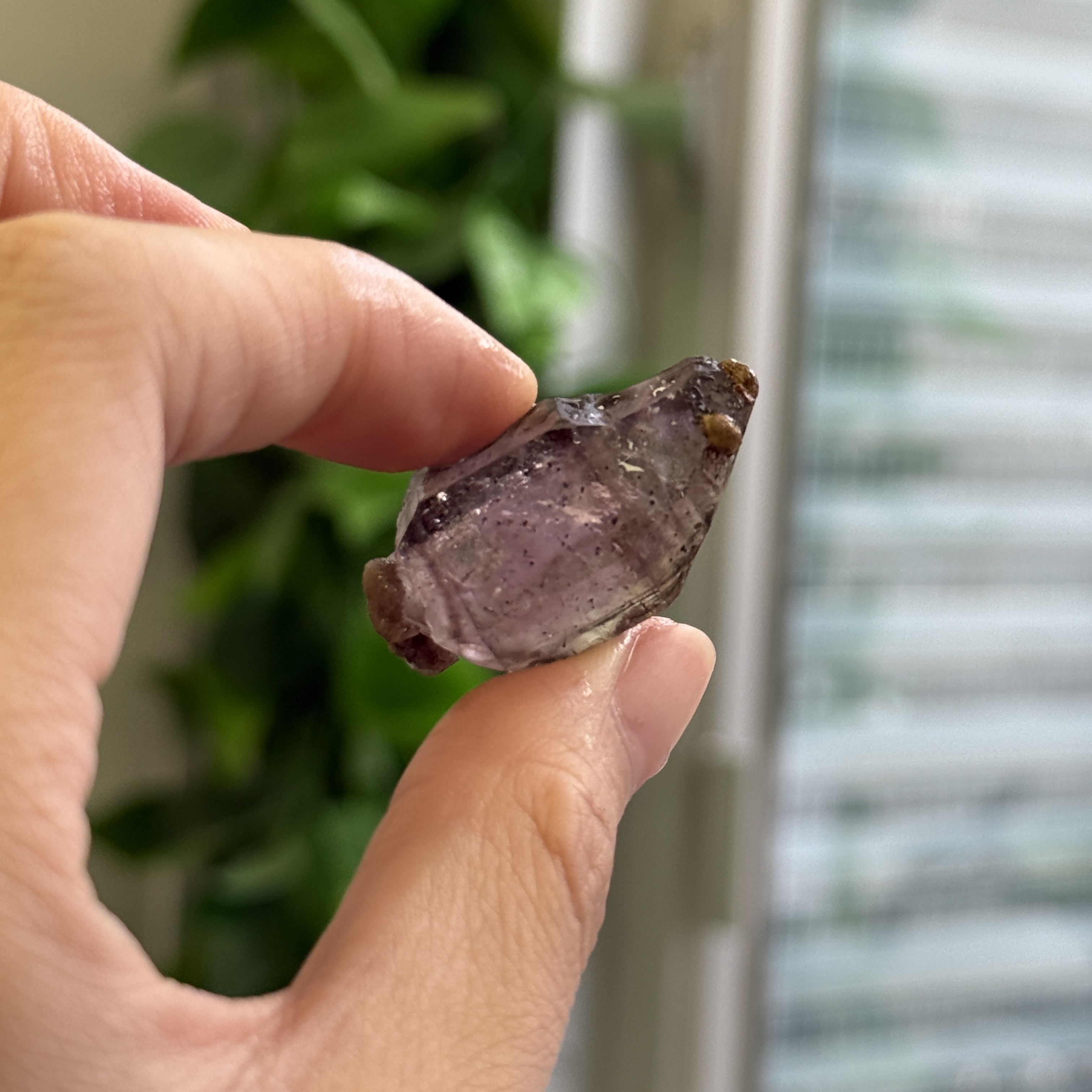 超級七骨幹原石 S71838