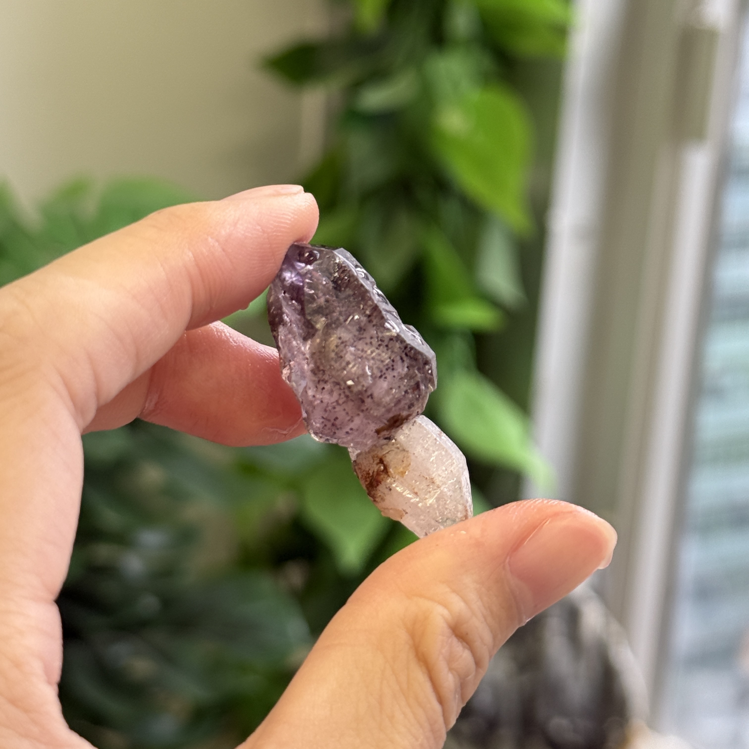 超級七骨幹原石 S71829