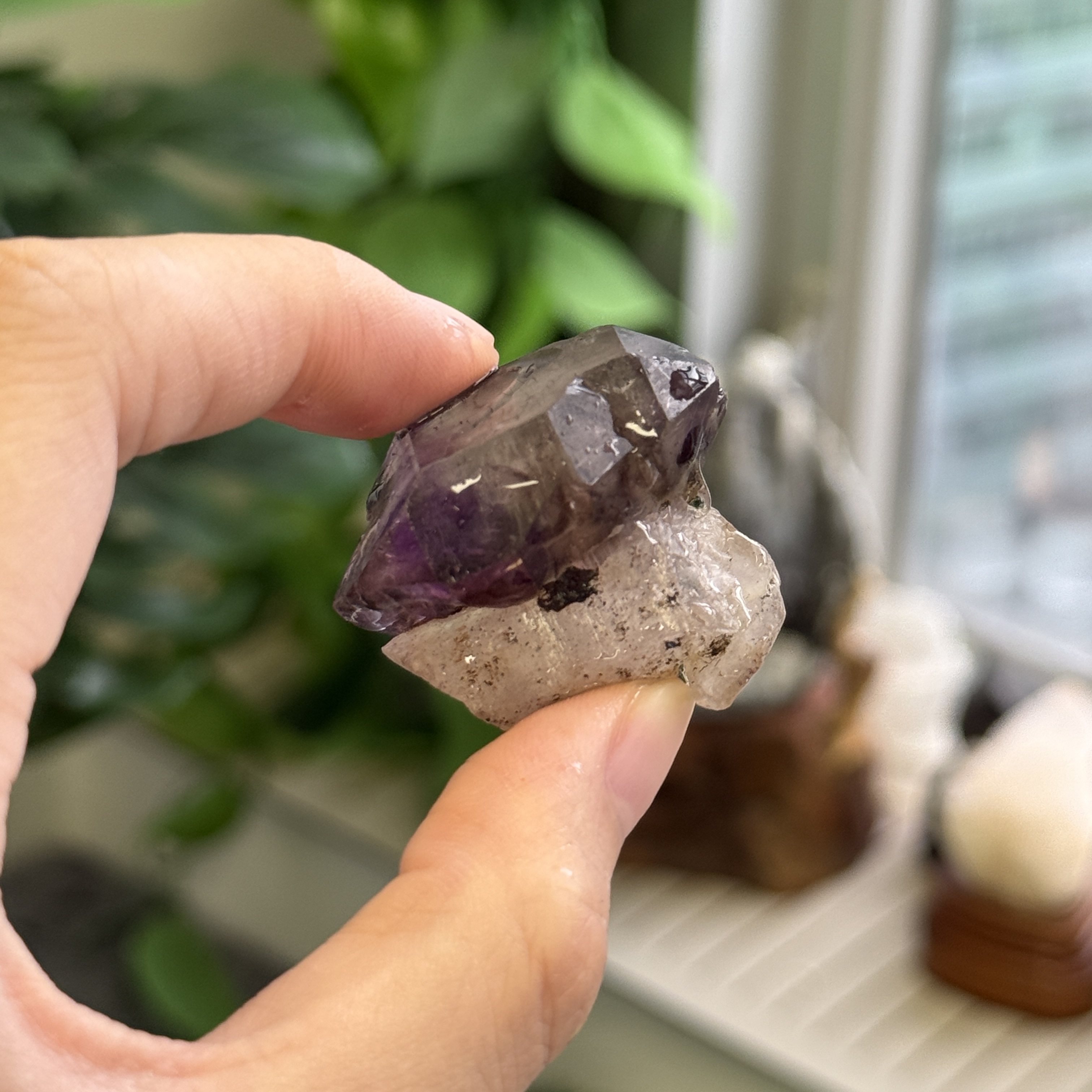 超級七骨幹原石 S71823