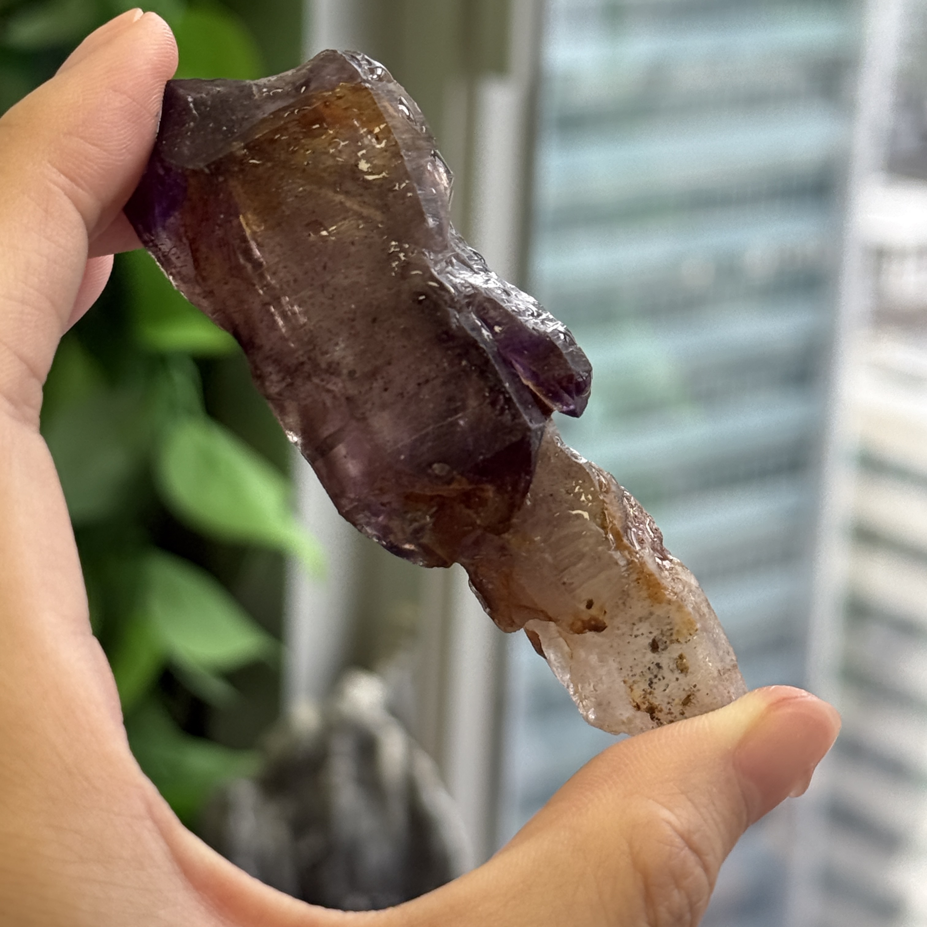 超級七骨幹原石 S71804