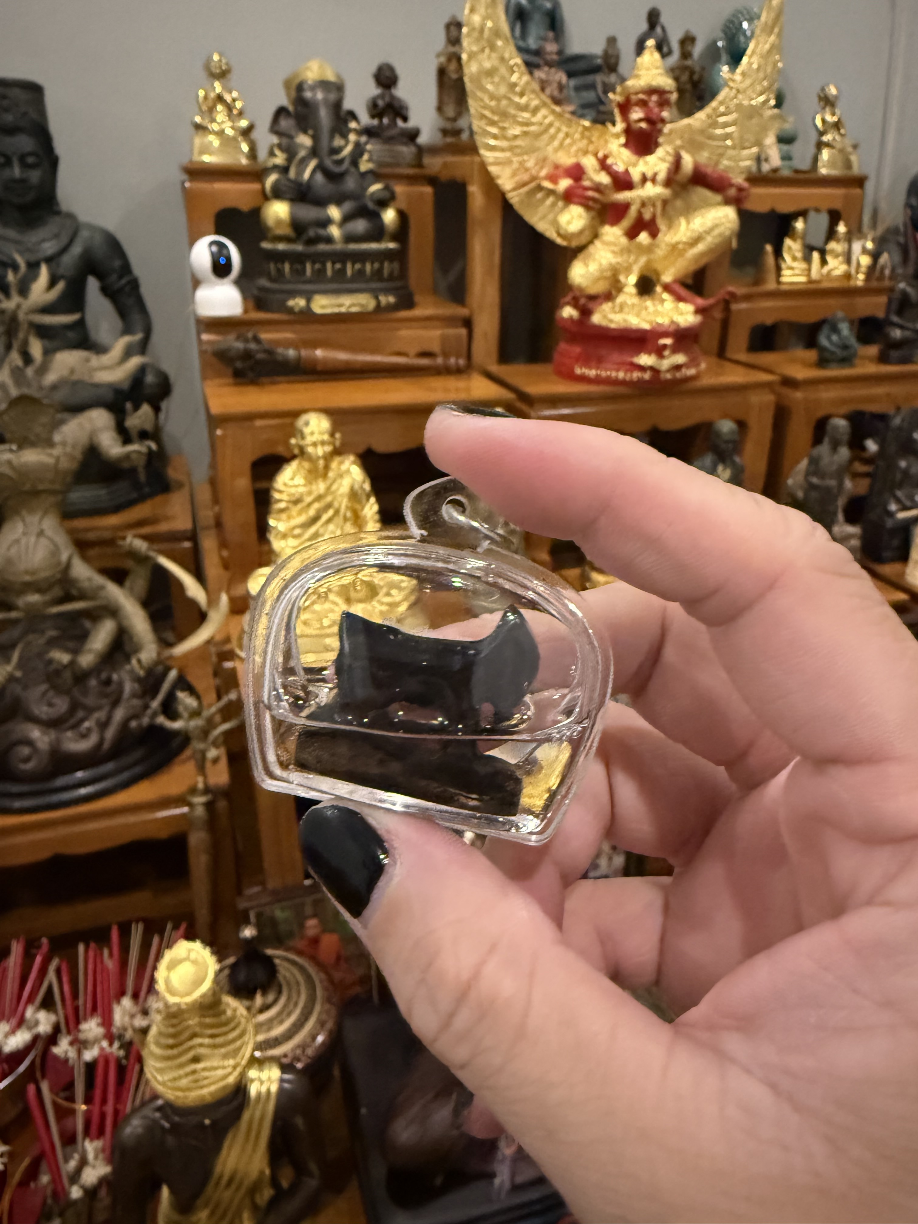 泰北 森林派高僧 山羊 🐐（KE23）