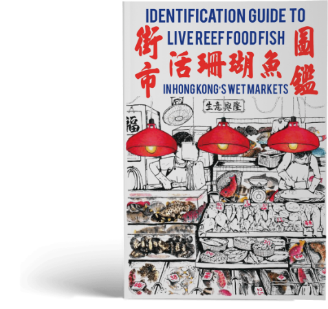 認識街市的活珊瑚魚多一點