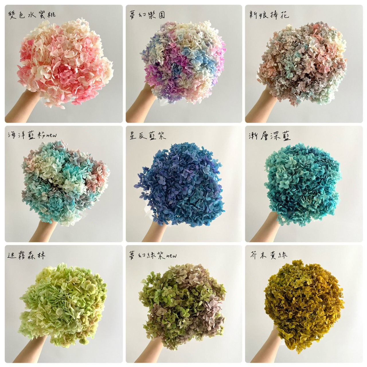 不凋繡球花(帶桿)- 漸層色系