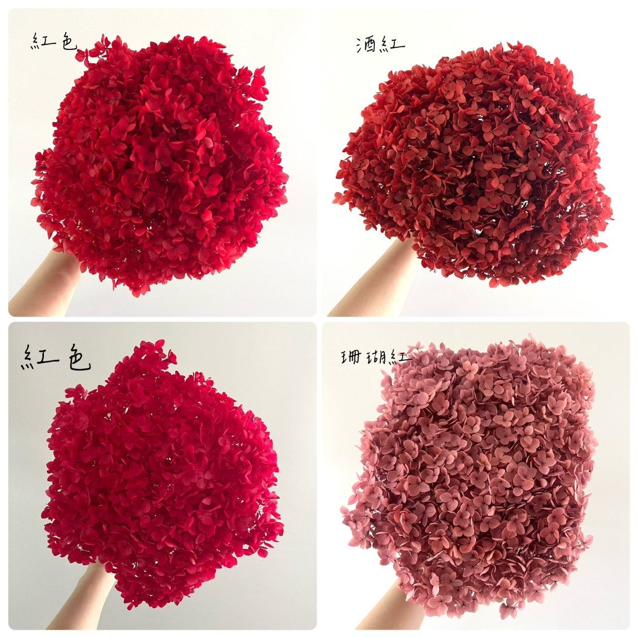 不凋繡球花(帶桿)-紅色系列