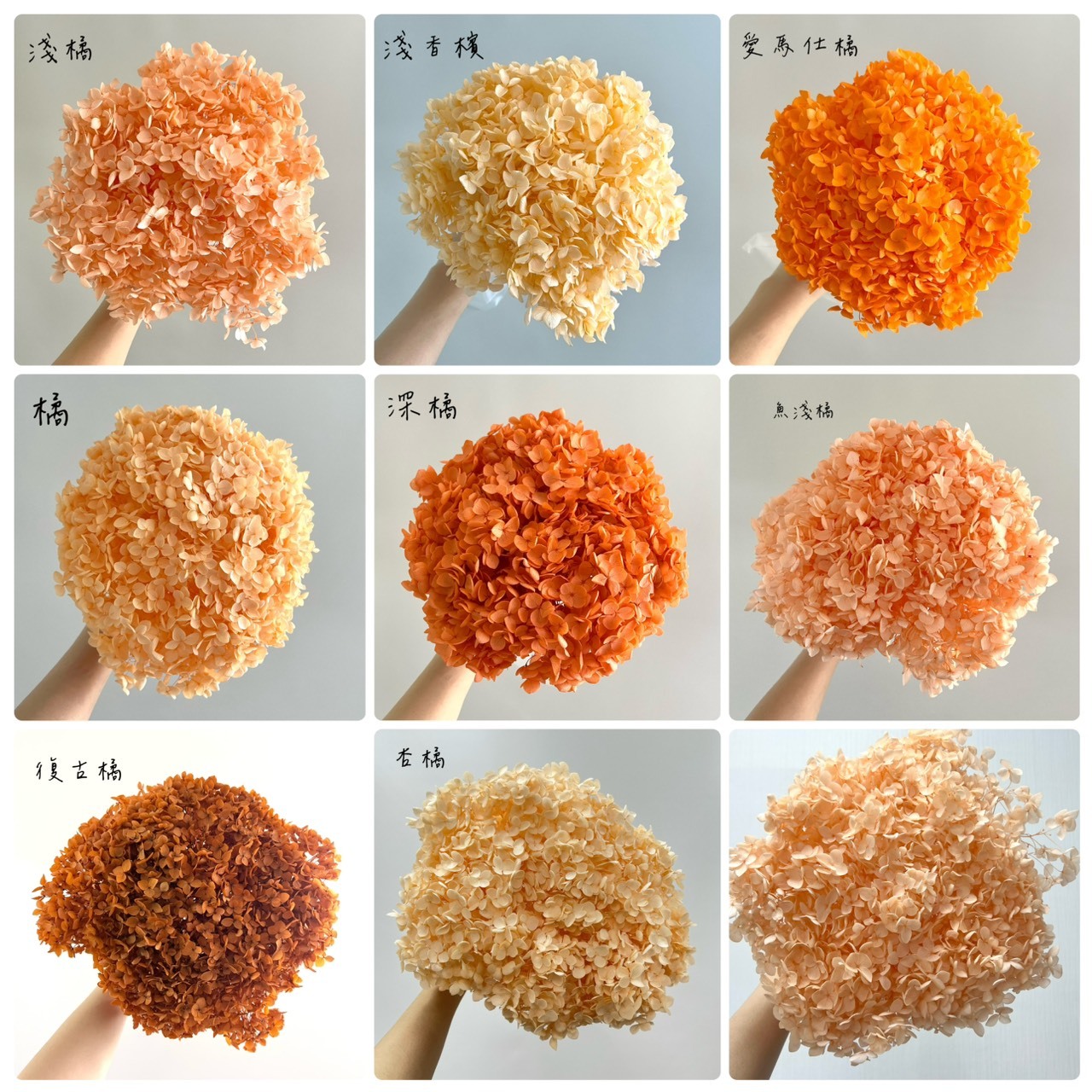 不凋繡球花(帶桿)-橘色系列