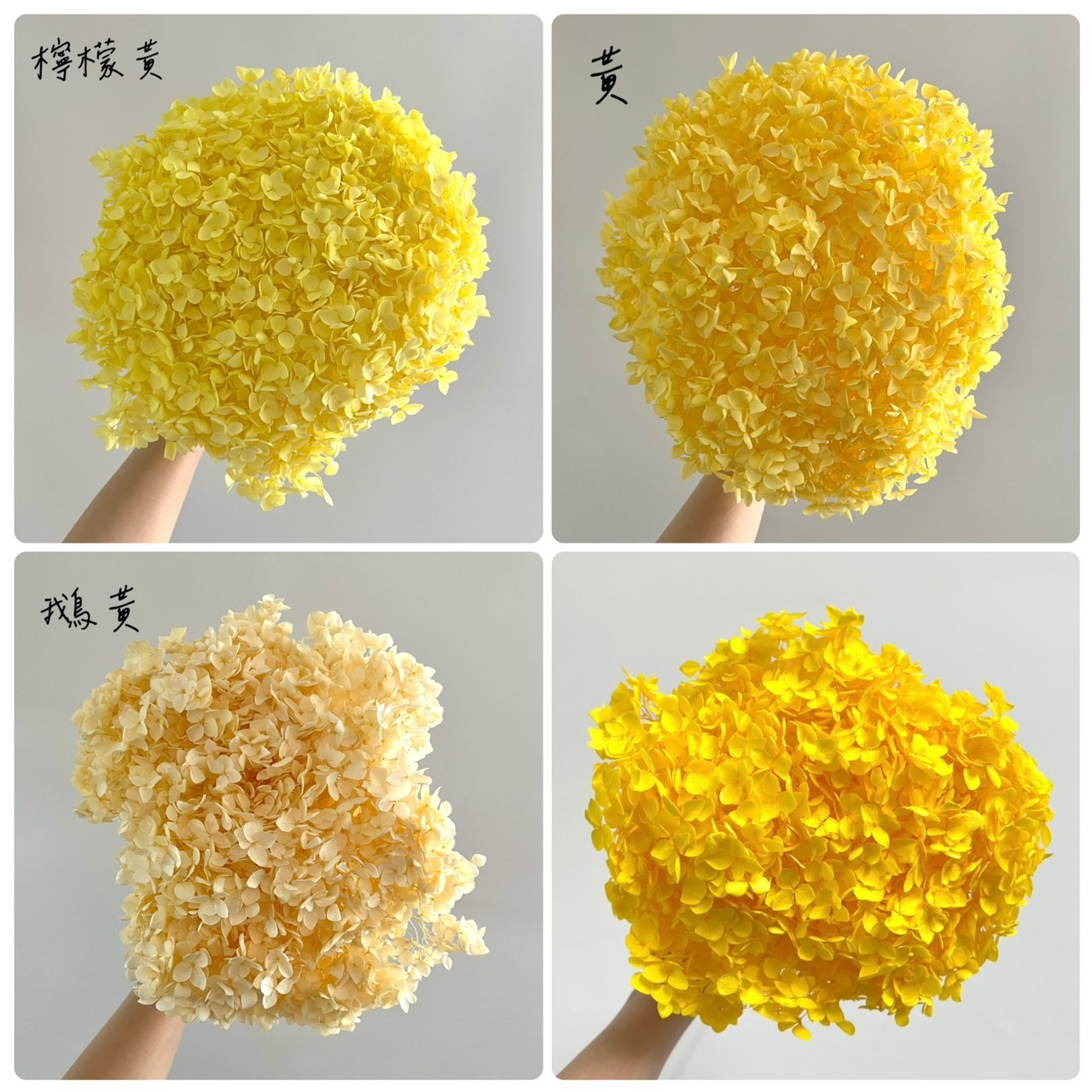 不凋繡球花(帶桿)-黃色系列