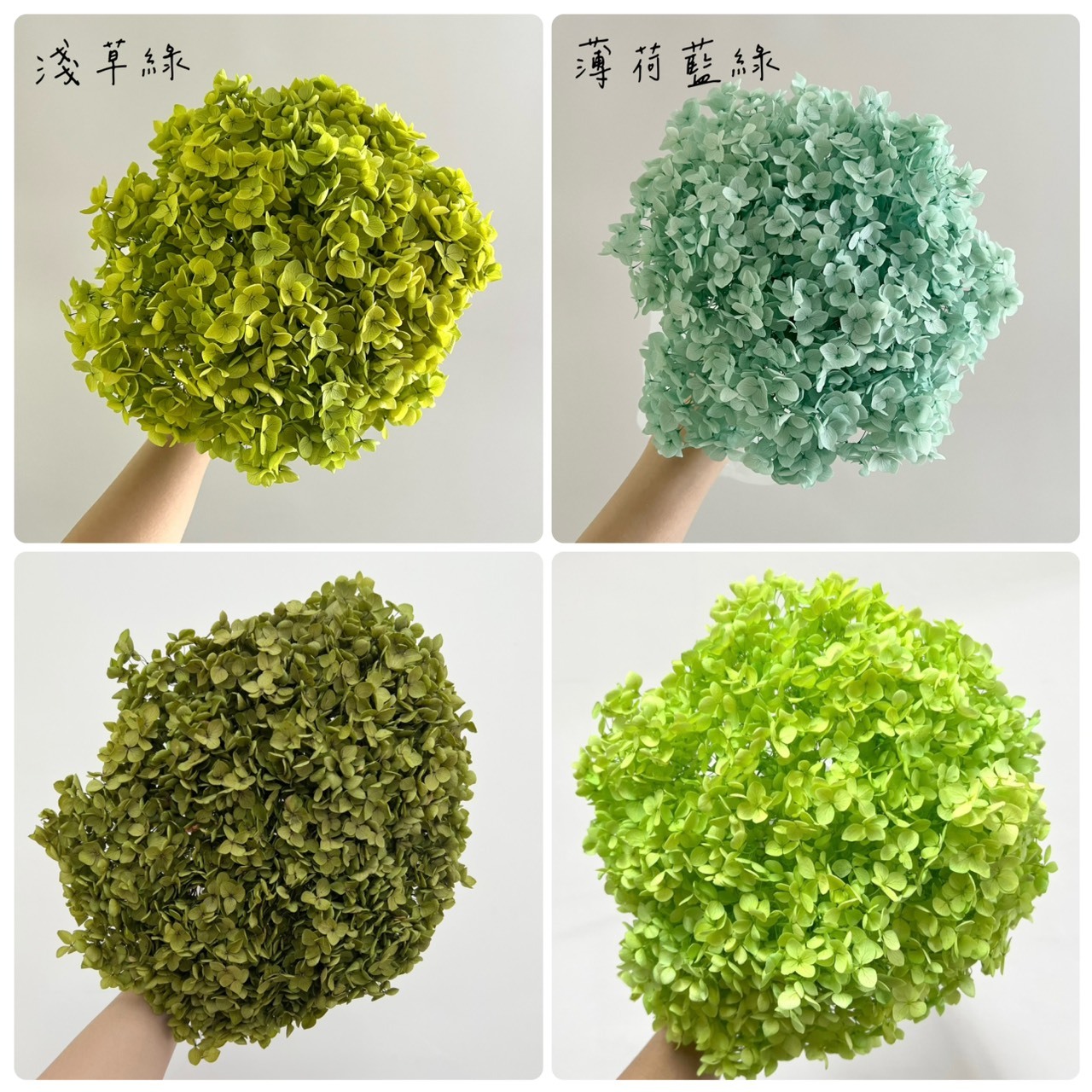 不凋繡球花(帶桿)-綠色系列