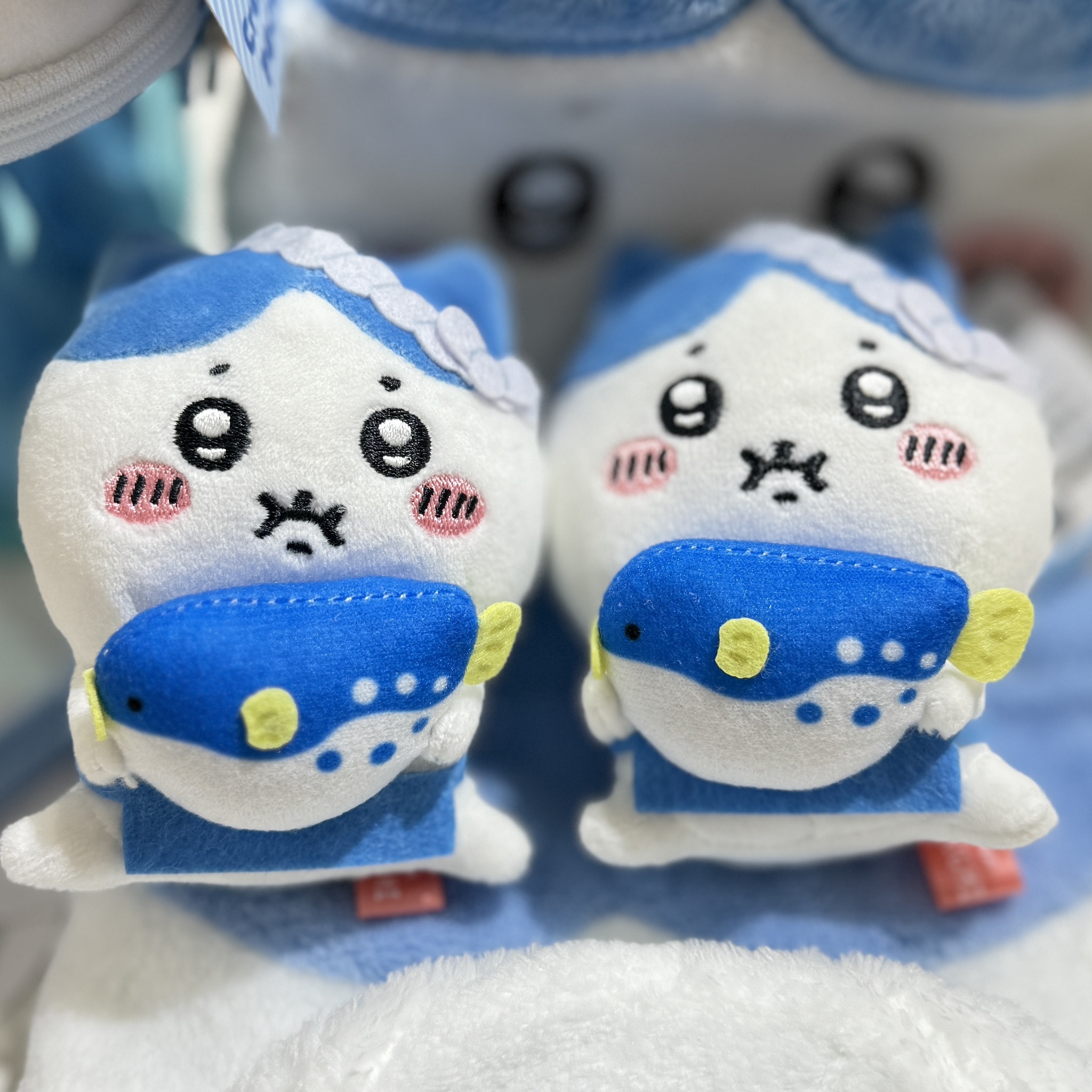 日本限定 CHIIKAWA 吉伊卡哇 山口限定 小八貓 河豚系列 代購