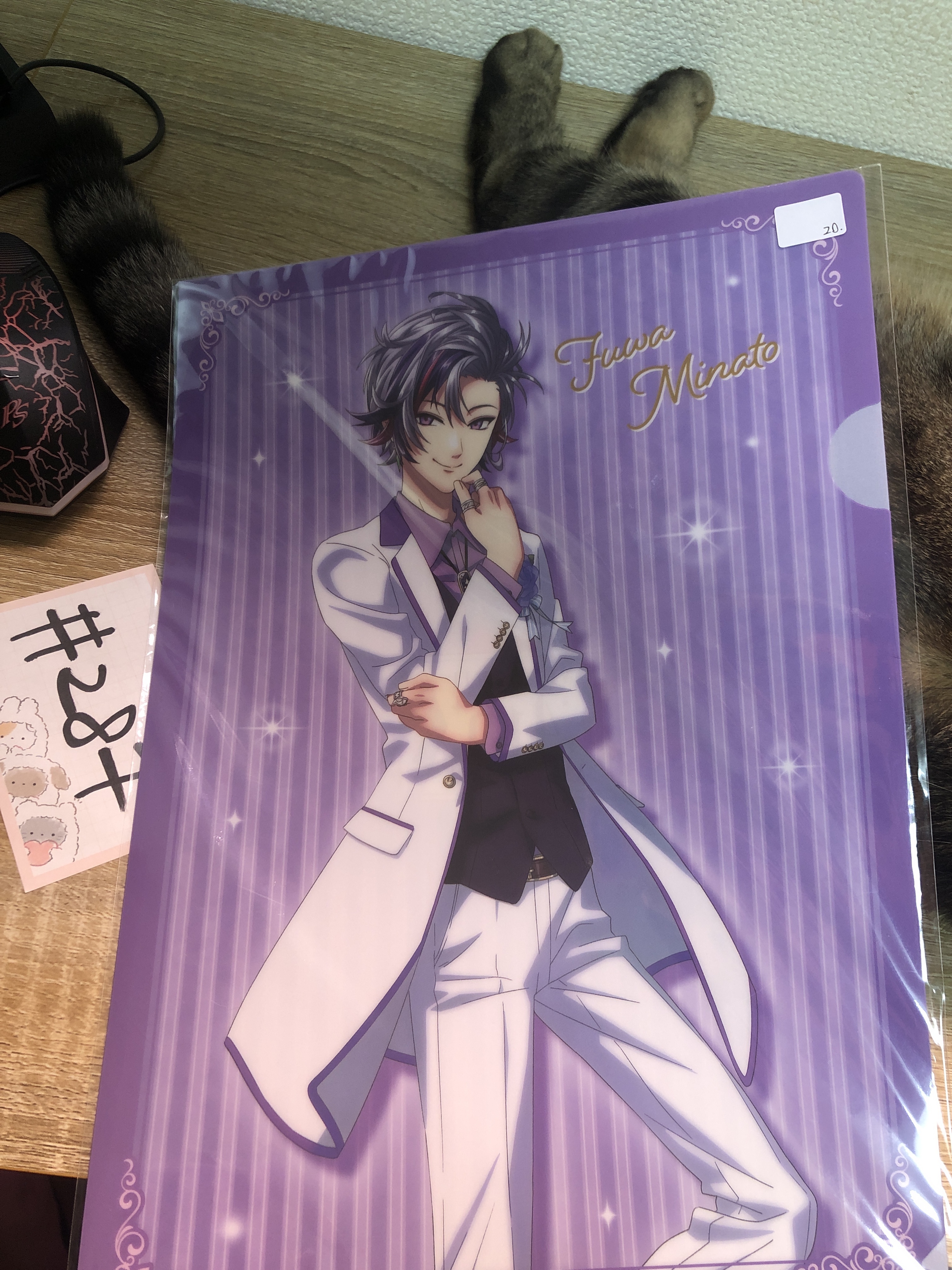 彩虹社 不破  FILE#287