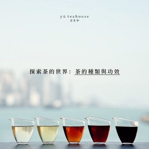 探索茶的世界：茶的種類與功效｜瑜茶舍