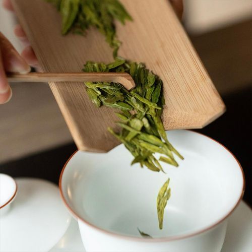 綠茶 —— 不發酵茶｜探索茶的世界：茶的種類與功效｜瑜茶舍