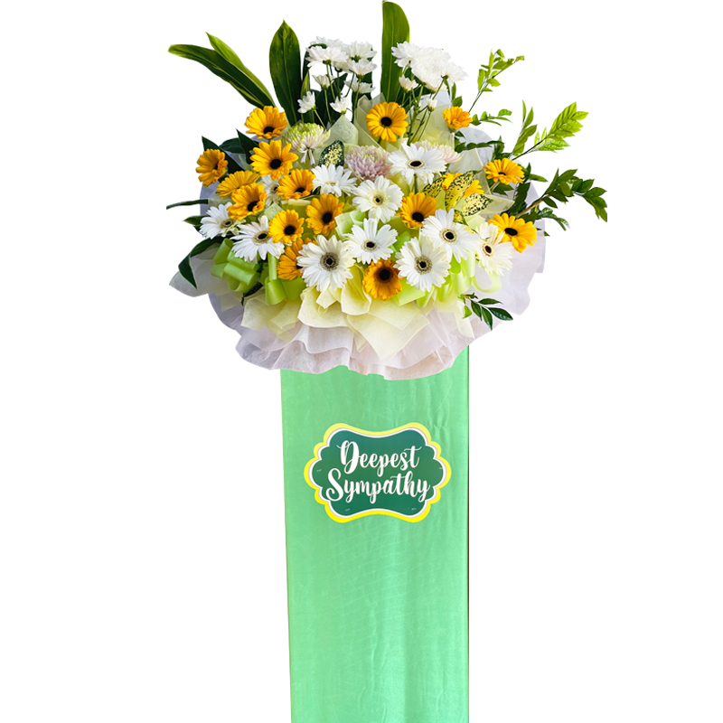 H120A⭐⭐⭐⭐⭐Free delivery