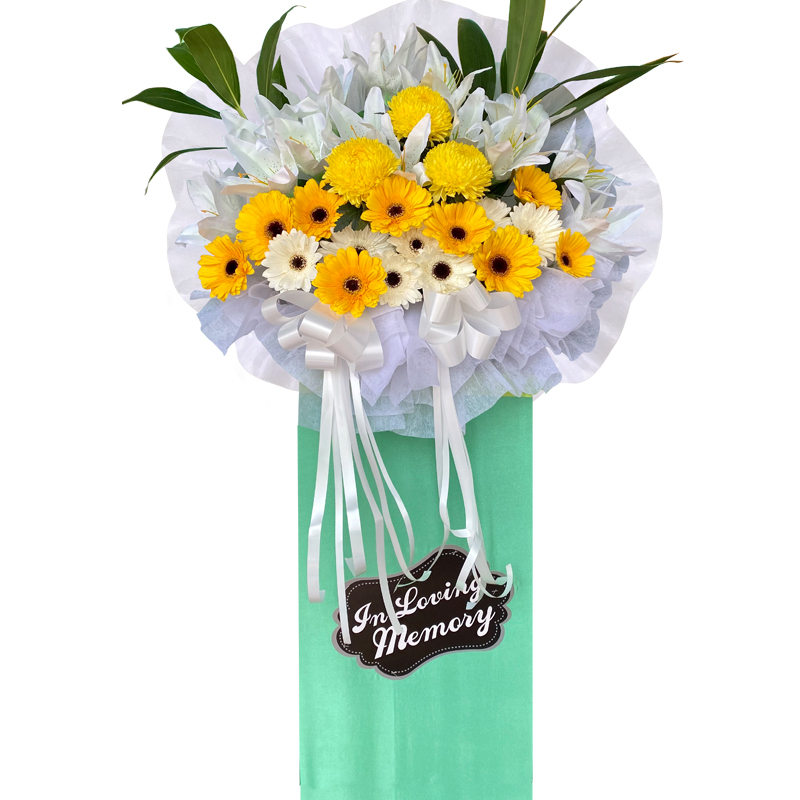 H100B   ⭐⭐⭐⭐⭐ FREE DELIVERY