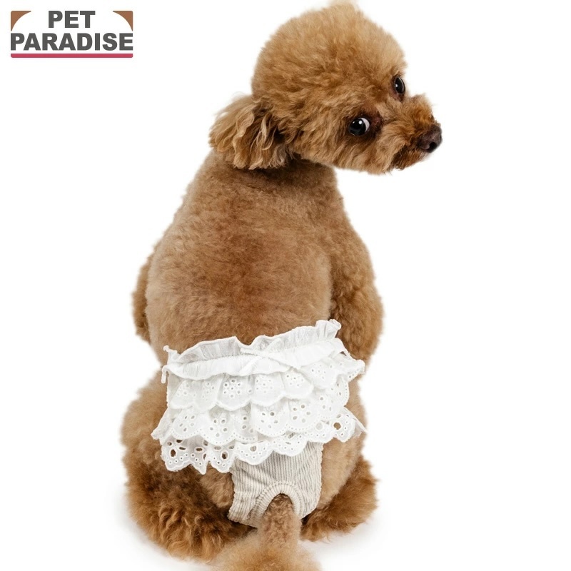 【Pet Paradise】Lace Frill Sanitary Pants <633-35575>