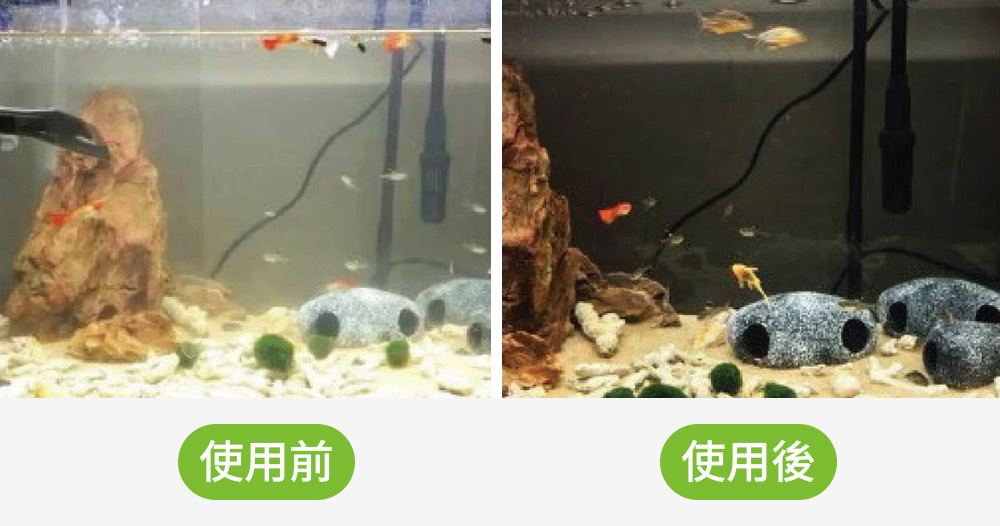 使用本產品後，不僅水質清澈明亮，更能顯著提升魚隻抗病能力，讓觀賞魚展現最美的狀態