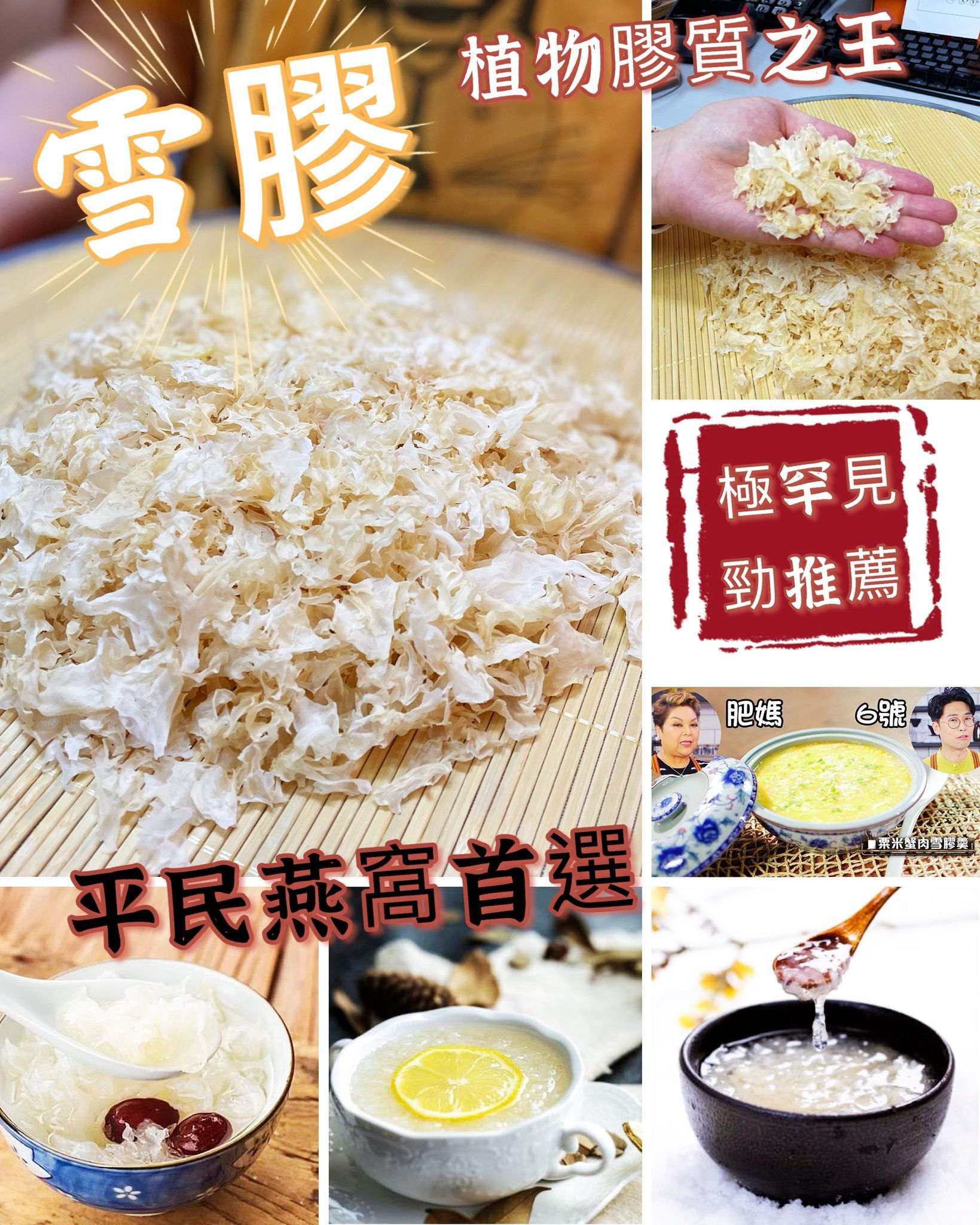 🏆植物膠質之王💁🏻雪膠🏵  40克/包▶️+/-3克◀️[#SQ25062306]