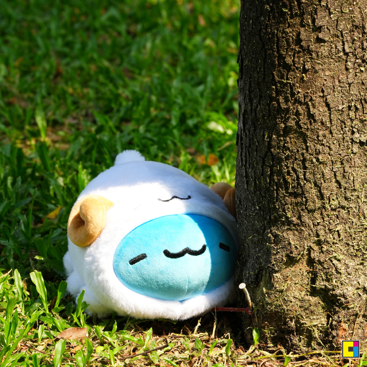 #迷你羊羊裝咖波懶洋洋 #迷路也無所謂 #懶才是生活態度 #卡特島6月新品 #療癒小物 #這系列是新品熱銷第二名