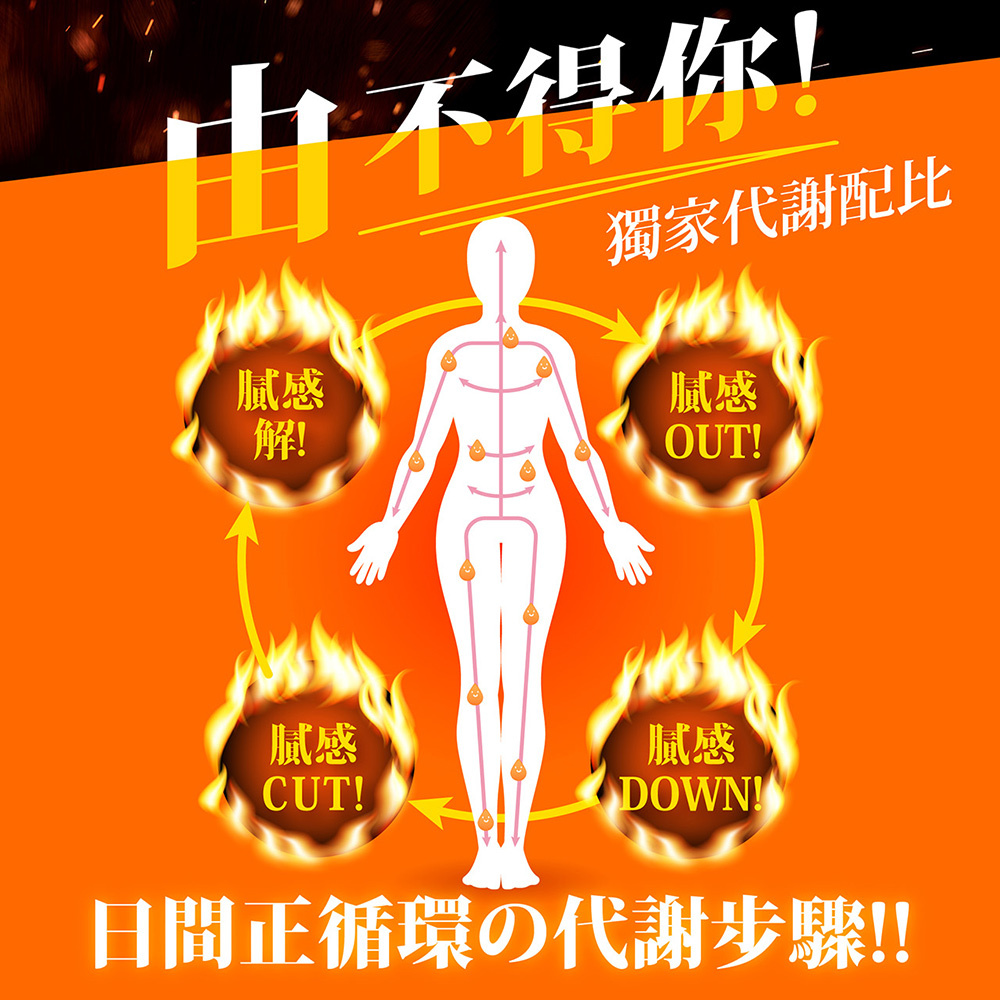 Simply新普利 食事油切酵素錠EX 30粒(15日)