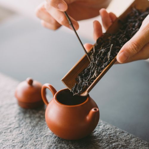 《習茶序曲 — 初嘗茶藝之美》—— 學習使用茶器茶具