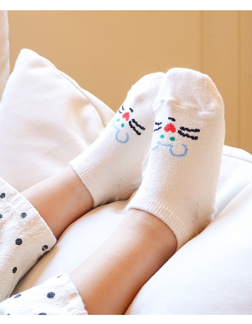 臉譜動物園3入組