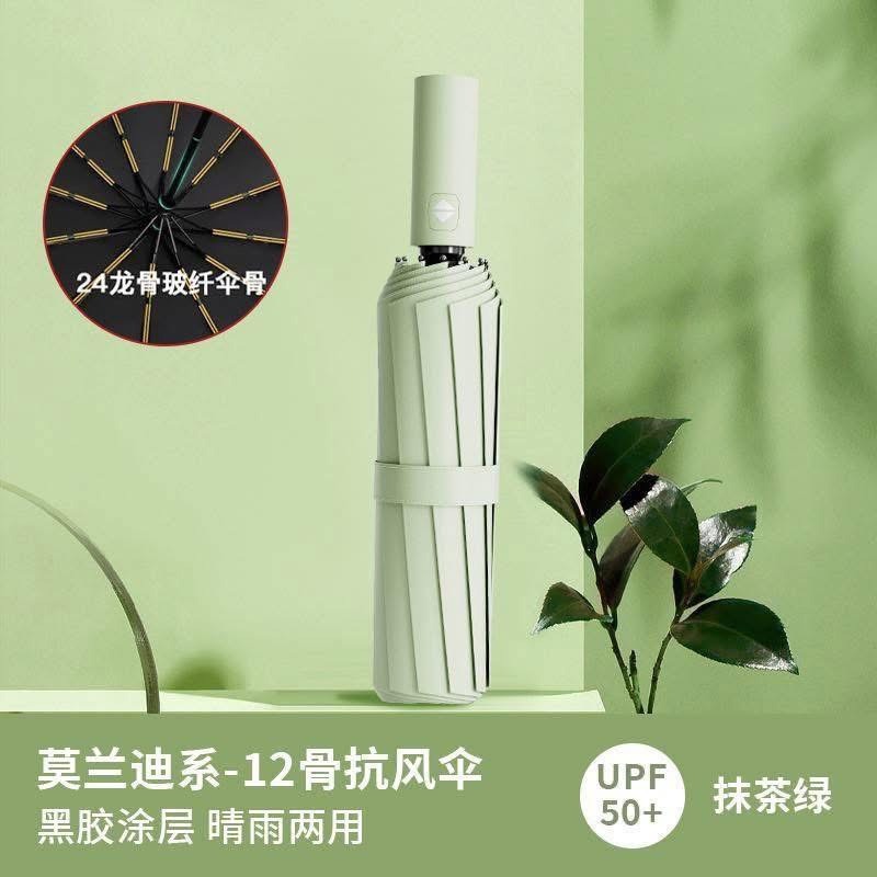 12骨自動傘加大雙人兩用傘🌂-0107