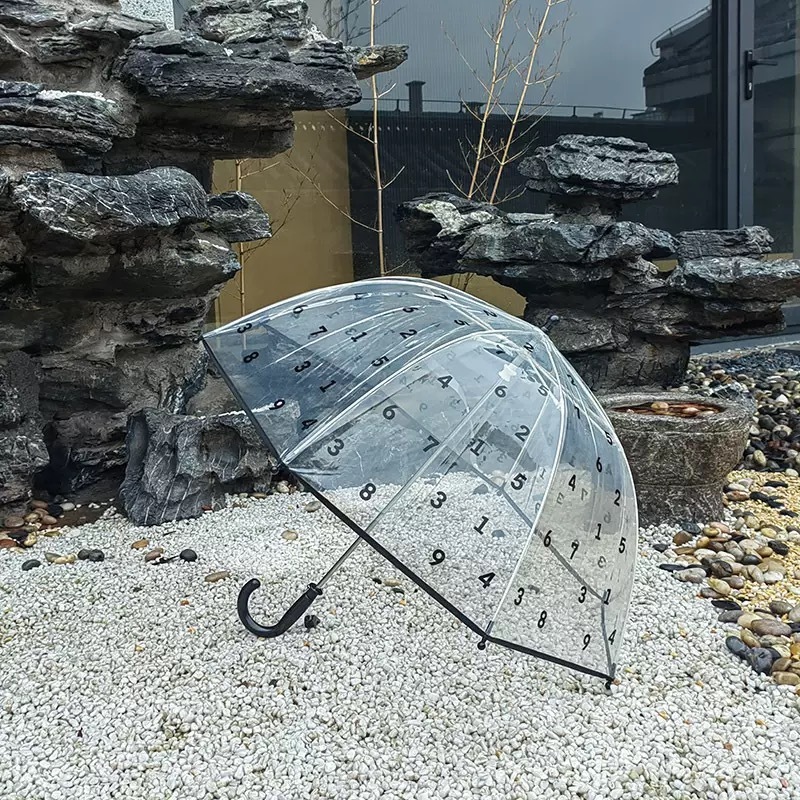 恐龍/獅子/花朵/數字雨傘