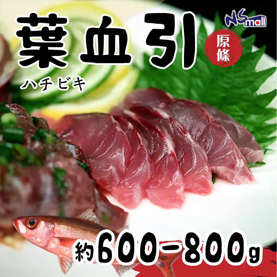 紅鰤 葉血引 ハチビキ 約600-800g/條