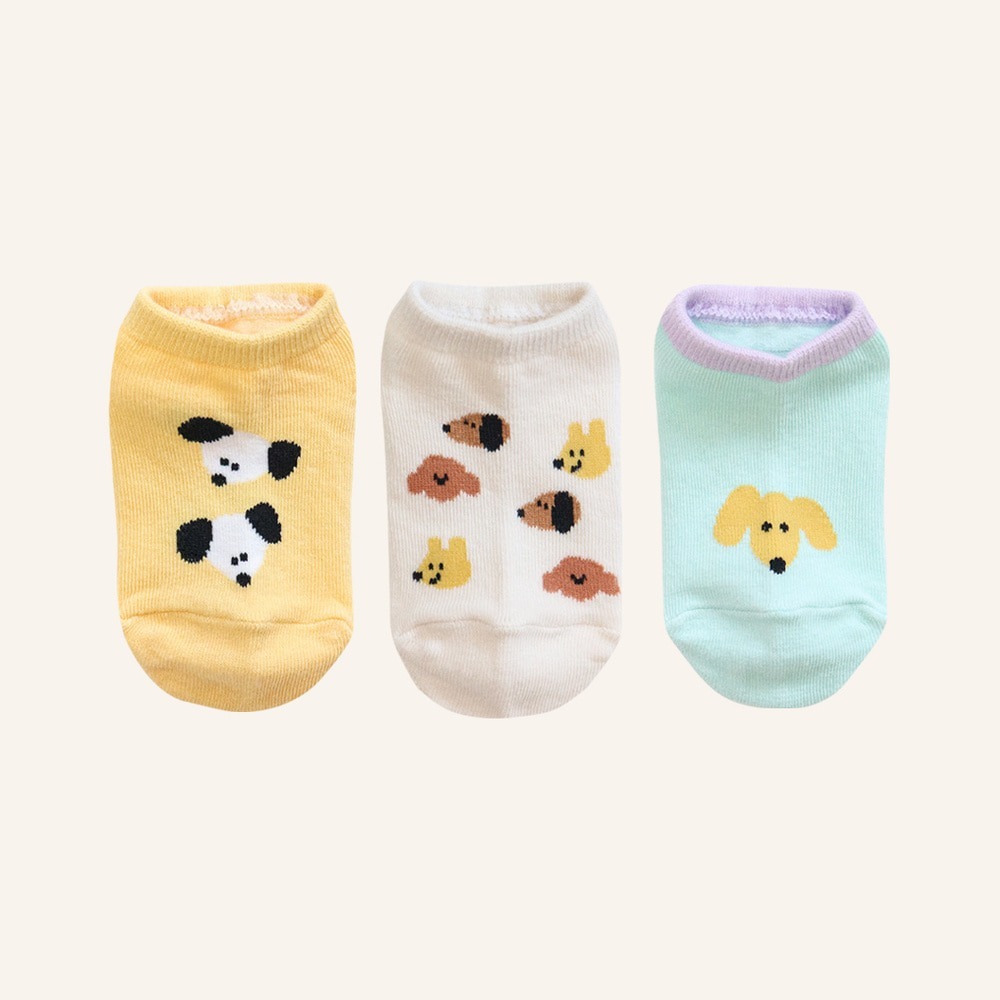 狗狗大集合3入組