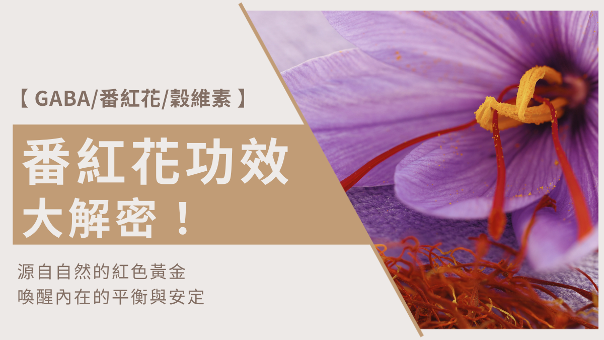 番紅花功效大解密