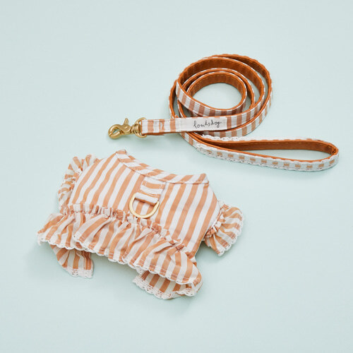 Louisdog La Seta 條紋胸背組