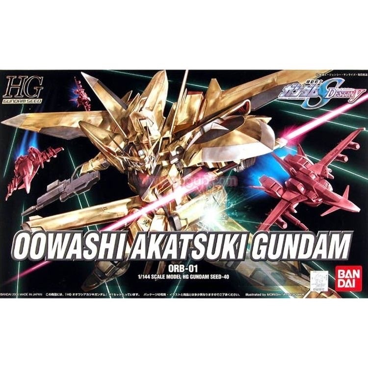 HG 1/144  曉高達 大鷲型