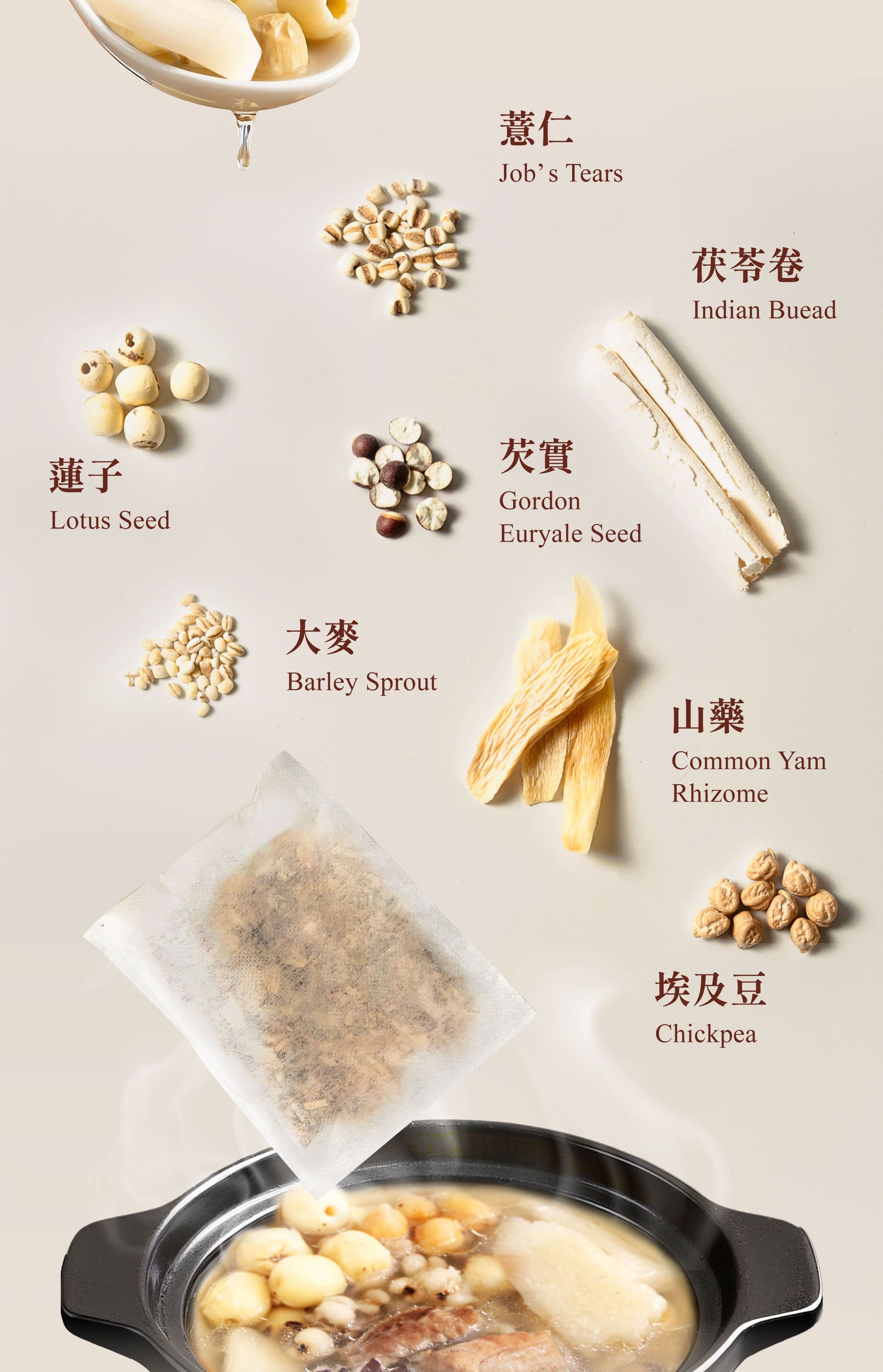 Dengyi Four Spirits Soup Kit Ingredients