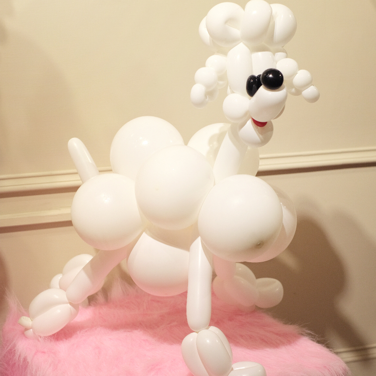 【造型氣球】白狗