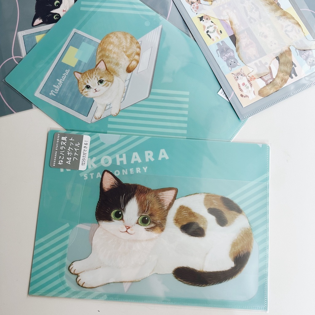 戴帽貓 貓咪 A4 資料夾 L夾｜日本 Gakken