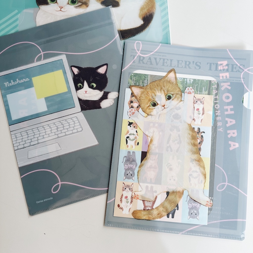 虎斑 貓咪 A4 資料夾 L夾｜日本 Gakken