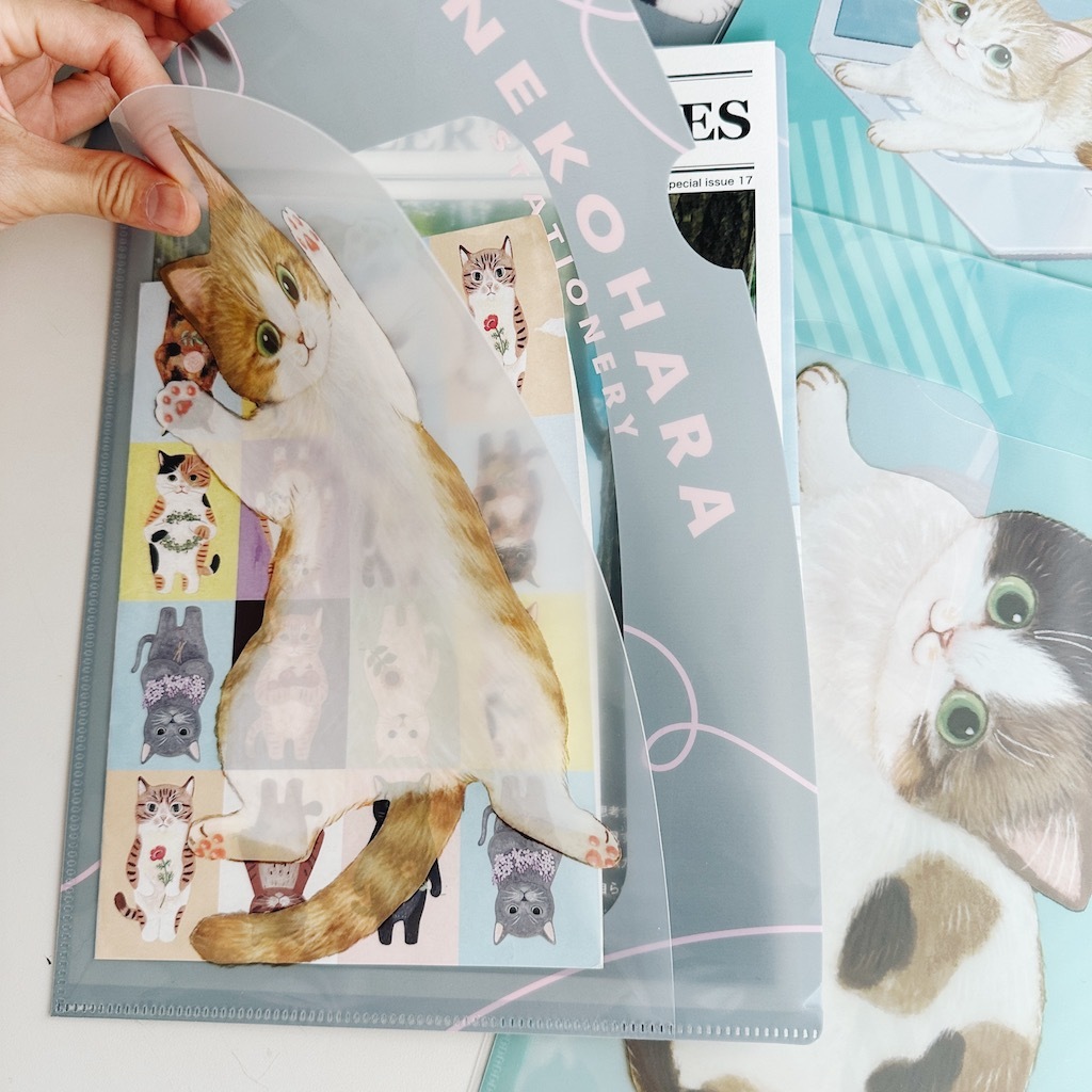 虎斑 貓咪 A4 資料夾 L夾｜日本 Gakken