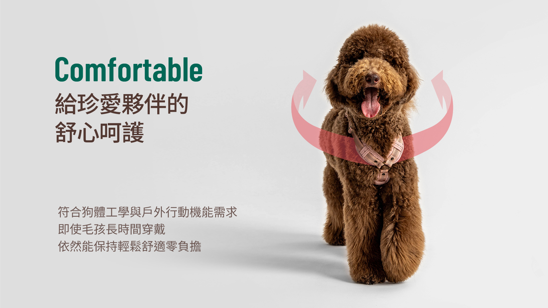 HORHORJOY Harness - Comfortable