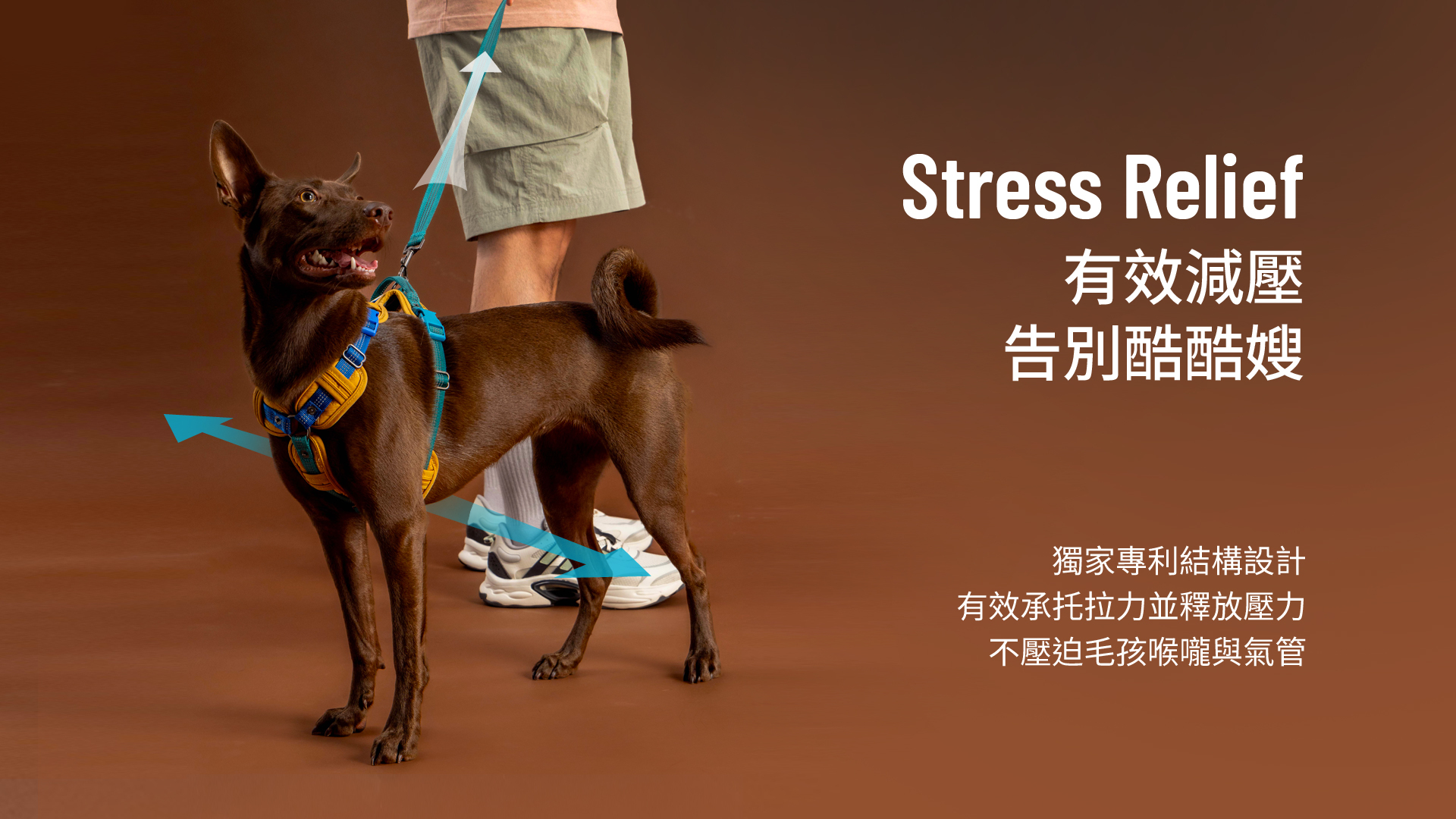 HORHORJOY Harness - Relief