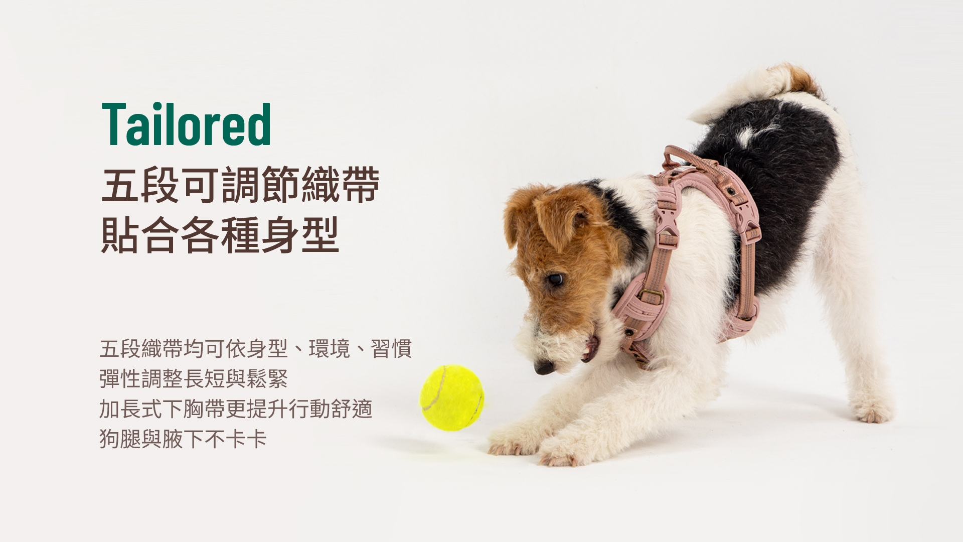 HORHORJOY Harness - Tailored